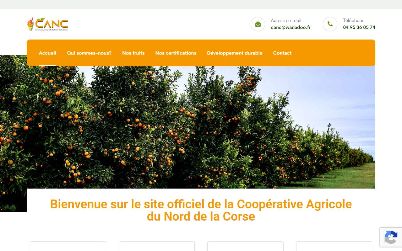Site CANC — vue ordinateur